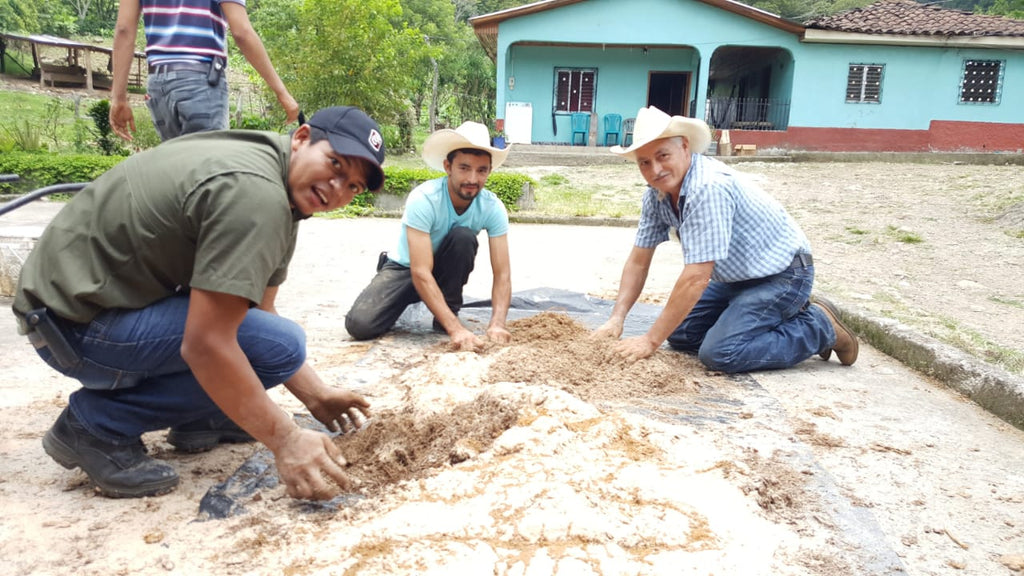 Honduras - Corquin Copan Water & COVID-19 Support - Complete (2020)