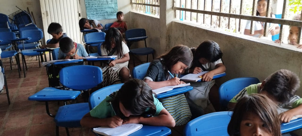 Zykuta School - Sierra Nevada Region, Colombia - Phase 2 (IN PROGRESS)